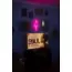 Kedi Neon Duvar Dekoru