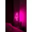 Kedi Neon Duvar Dekoru