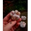 Paw Love 6 (Pati)