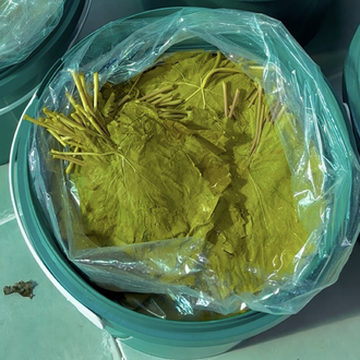 NET 10 KG KOVA SALAMURA YAPRAK