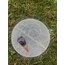 çakra pandül