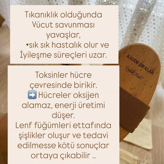 Keçi kılı ve at kılı Fırça set 