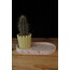 jesmonite tray