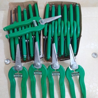 Profesyonel Kağıt Pipet Makası