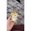 Amigurumi şapkalı ördek