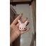 Pembe minik miffy anahtarlık