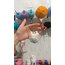 Hamster TARİFİ