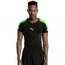 PUMA EvoTRG EvoKNİT Football Training (Isı Denyeleyici)