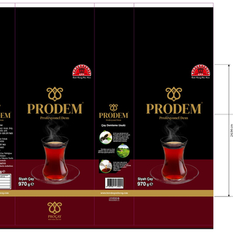 PRODEM 