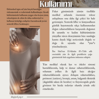 Kardelen Yorgan Yıkanmamış Koyun Yünü Bebek Yetişkin Sırt Göğüs ve Karın Yastığı