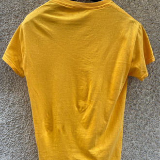 Gildan Heavy Cotton t-shirt