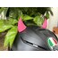 Yarasa Pembe