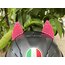 Pembe Kedi 