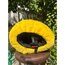 PİKACHU KASK KILIFI