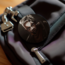 League of Legends Rozet