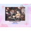 Omori Puzzle