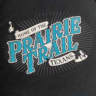 Gildan ultra cotton x texans vtg tee ( xxl )