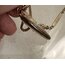 1900s Victoryen Köstekli Saat Zinciri Locket Kolye