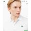 LACOSTE POLO YAKA MAĞAZA MODELİ