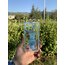 iPhone Kristal Karakter Kılıf