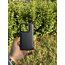 iPhone Casetify Buff Seri Kılıf