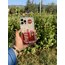 iPhone CocaCola Lisanslı Kılıf