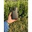 iPhone Casetify Buff Seri Kılıf