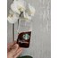 iPhone Starbucks Model Kılıf