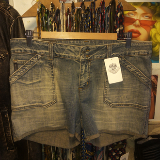 Arizona Mini Denim Shorts