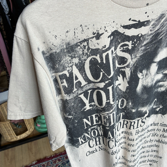 Chuck Norris Facts Graphic T-Shirt