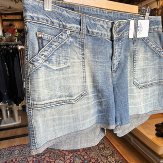 Arizona Mini Denim Shorts