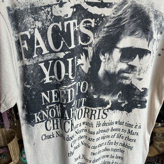Chuck Norris Facts Graphic T-Shirt