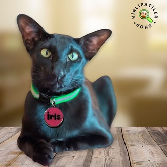 KirliPatiler Kedi ve Köpek Epoksi Madalyon Künye İsimlik Karekodlu