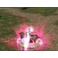 KnightOnlinepvp.eu DESTEK PRO item