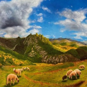 Karadeniz
