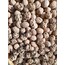 Kabuklu Ceviz(1kg)