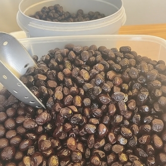 SELE ZEYTİN İRİ BOY (3 KG) KARGO ÜCRETSİZ