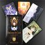 Dreams Of Gaia Tarot Destesi