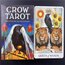 Crow Tarot Destesi