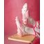 YENİ SEZON F50 ELİTE