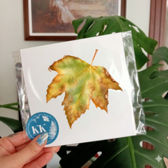 Platanus sp. - Mini Sanat Serisi (15x15)