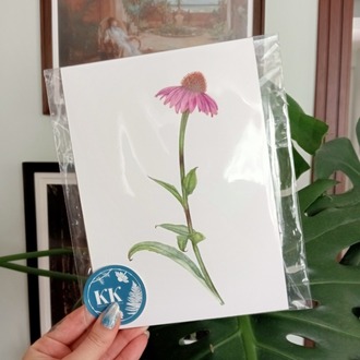 Echinacea purpurea - Mini Sanat Serisi (A5)