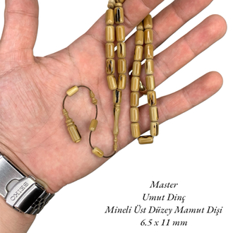 ZİRVE BİR MAMUT DİŞ