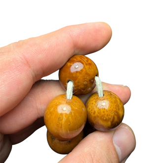 MÜZELİK BİR KUKA