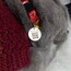 QR kodlu kedi-köpek tasma