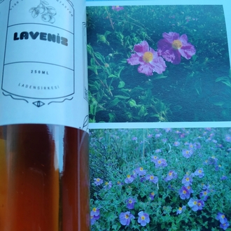 laden sırkesi