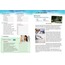 Link Turkish Course Book and Workbook for Foreigners A2