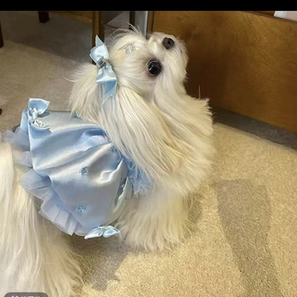Pet Prenses elbise