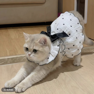 Pet elbisesi 