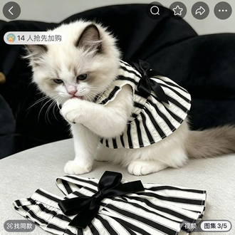 Pet kıyafet